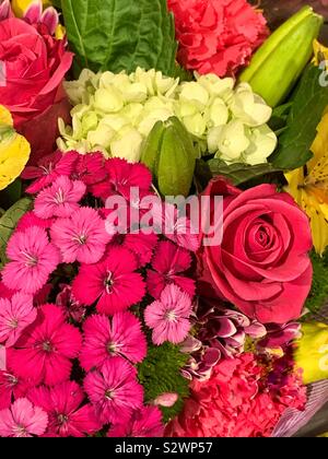 Variété de belles fleurs colorées y compris des roses rose, hortensias, blanc et vert les bourgeons. Banque D'Images