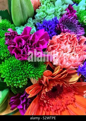 Beau bouquet d'Oeillets roses et marguerites orange et vert avec le feuillage. Banque D'Images