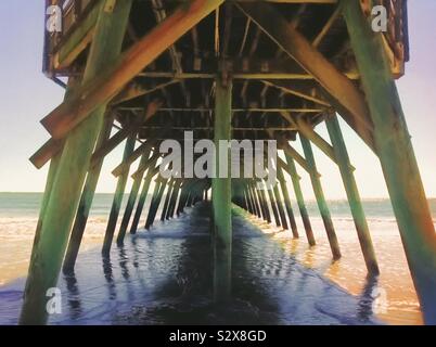 Marin de l'Océan Atlantique Vue du dessous de la jetée de parc d'état de Myrtle Beach en Caroline du Sud aux États-Unis. Banque D'Images