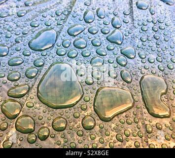 Globules de pluie sur une surface en plastique après une tempête Banque D'Images