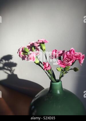 Œillets roses dans un vase en verre vert Banque D'Images
