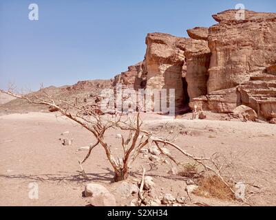Falaises de grès dans la vallée de Timna avec le roi Salomon' piliers. Banque D'Images
