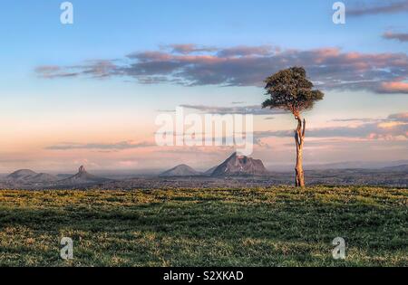 Glass House Mountains, Queensland One Tree Hill, Lone Tree on Hill Maleny Banque D'Images