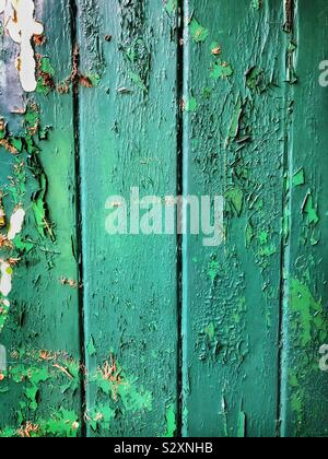 L'écaillage de la peinture verte sur une vieille porte en bois Banque D'Images