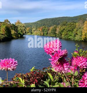 En voyant la rivière Deerfield du pont de fleurs, de Shelburne Falls, Massachusetts, United States Banque D'Images