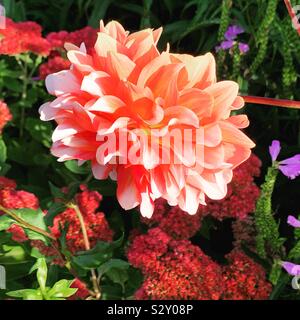 Septembre sur le pont de fleurs, de Shelburne Falls, Massachusetts, United States Banque D'Images