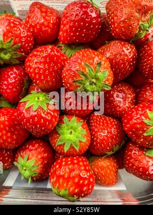 Fresh strawberrys Banque D'Images