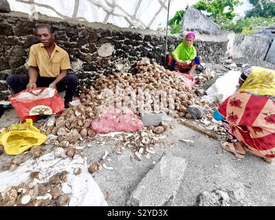 Tri des Comoriens locaux ignames frais au marché vibrant à Moroni, Comores. Banque D'Images