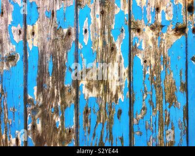 Vieille porte en bois avec peinture bleue de déroulage Banque D'Images