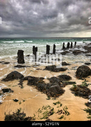 Vieux poteaux de bois sur une plage à marée basse, St Ives, Cornwall, en octobre. Banque D'Images