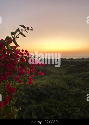 Ciel coucher de soleil colorés avec rolling green paysage et vue sur l'Océan Pacifique Banque D'Images