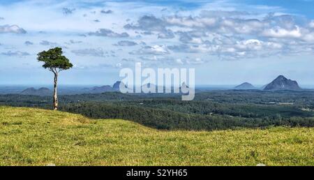 One Tree Hill, Lone Tree Hill, Maleny Banque D'Images