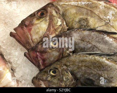 Trois John Dory fish (Zeus faber) sur la glace. Banque D'Images