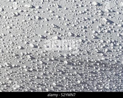 Les gouttelettes d'eau au début de la lumière du soleil du matin sur le corps d'une voiture ciré Banque D'Images