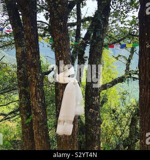 Foulard blanc noué sur un arbre en route vers le nid du tigre au Bhoutan. Banque D'Images