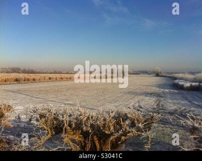 Télévision frosty landscape en hiver, Yorkshire, Angleterre, Royaume-Uni Banque D'Images