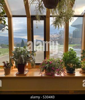 Les plantes près des fenêtres donnant sur le paysage dans un endroit public à la Trapp Family Lodge, Stowe, Vermont, United States Banque D'Images