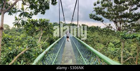 MacRitchie TreeTop Walk Singapour Banque D'Images