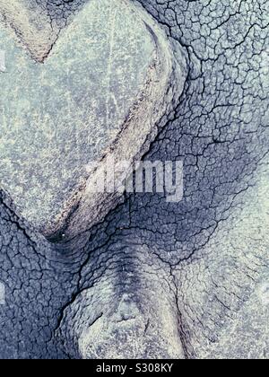 Bande de roulement de près et patiné Banque D'Images