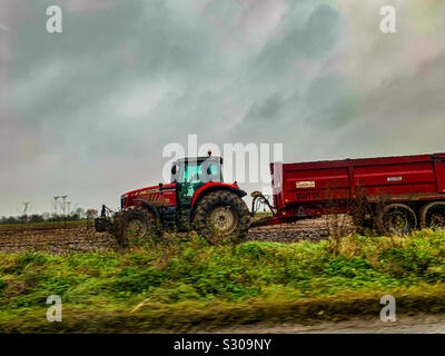 Tracteur Massey Ferguson rouge dans un champ boueux Banque D'Images