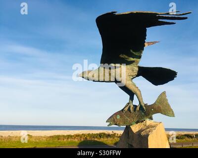 Sculpture d'un balbuzard pêcheur capture d'un poisson à Spey Bay, Moray par David A Annand Banque D'Images