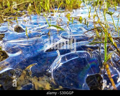 Réflexions créé par la glace sur l'herbe. Banque D'Images