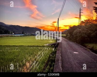 Le coucher du soleil, les champs de riz et de routes de campagne, en milieu rural, le Japon Tottori Banque D'Images