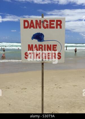 Méduses dans les plages d'Australie Banque D'Images