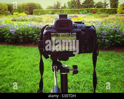 Appareil photo reflex numérique prenant une photo d'un beau jardin fleuri. Dans Les Jardins Botaniques De Niagara À Niagara Falls, Ontario Canada Banque D'Images