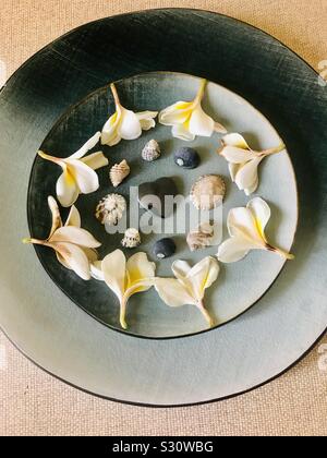 Mandala sur une plaque gris/bleu avec fleur de frangipanier chefs - obus et un cœur d'hématite. Banque D'Images