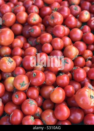 Rouge, mûres, les tomates fraîches sont affichés dans un marché de producteurs produire bin dans une vue verticale. Banque D'Images