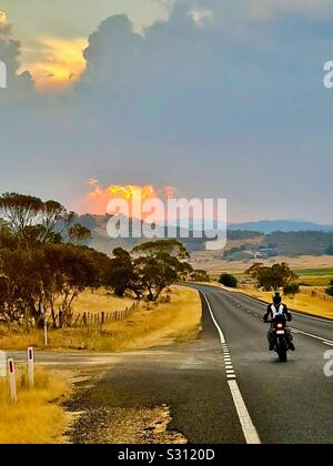 Rb, visiter l'Australie, en vélo, par le biais de Gippsland, Cann River, Cooma, Corryong, voyageur, biker,motos, de l'Australie, le tourisme, thermocycleurs paradise Banque D'Images