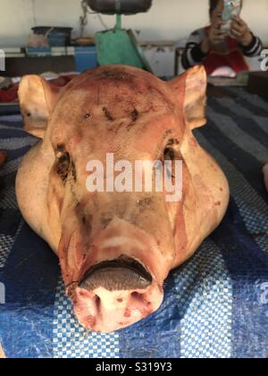 Tête de porcs dans un marché rural au Laos Banque D'Images