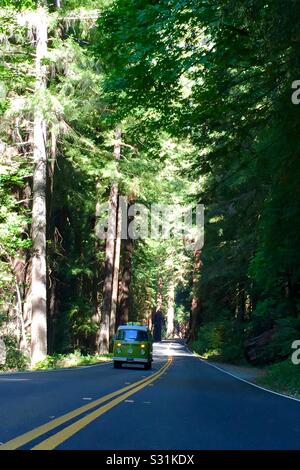 Bus VW sur l'autoroute pittoresque Avenue des Géants traversant le parc national Humboldt Redwoods, CA. Banque D'Images