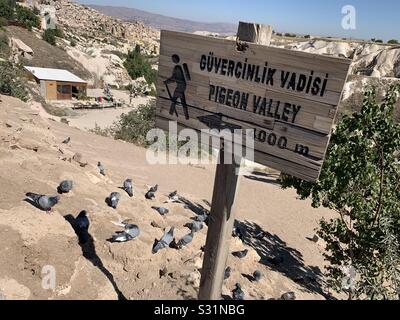 Vallée Du Pigeon Cappadoce Turquie Banque D'Images