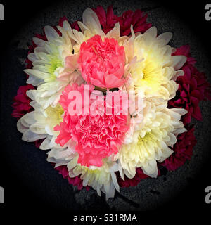 Un bouquet d'Oeillets roses et chrysanthèmes blancs Banque D'Images