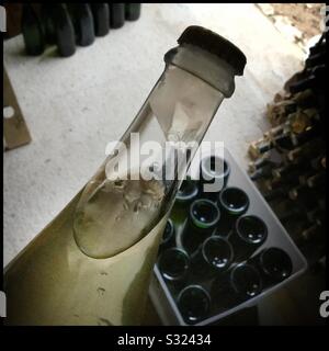 Congélation du cou d'une bouteille de vin mousseux avant le dégorgeage, Catalogne, Espagne. Banque D'Images