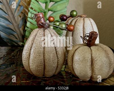 Dubuque, IOWA, 09/2019--gros plan photo de trois citrouilles en pierre texturées crème et marron avec tiges brunes assis sur une table en verre multicolore positionnée devant un arrangement décoratif coloré. Banque D'Images