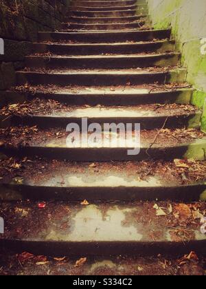 Étapes humides Banque D'Images