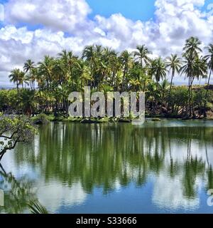 Kalahuipua'a Mauna Lani Fishmaces près de Puako sur la côte de Kohala de la Grande île d'Hawaï Banque D'Images