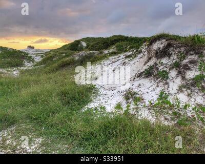 Dunes de sable à Cabo Frio, Brésil. Banque D'Images