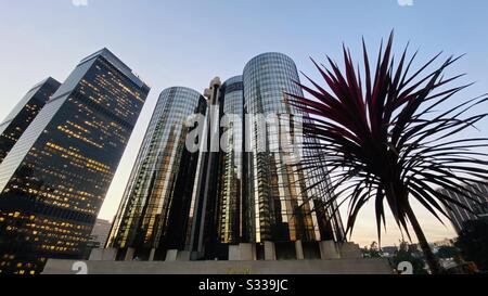 Los ANGELES, CA, JAN 2020: Hôtel Westin Bonaventure et gratte-ciel à proximité avec palmier en premier plan au crépuscule. Banque D'Images