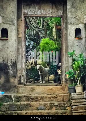 Entrée à un immeuble résidentiel, Candidasa, Bali, Indonésie Banque D'Images