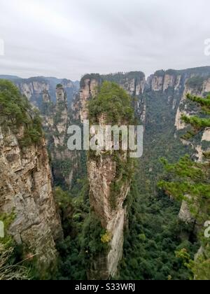 Paysages spectaculaires à la région pittoresque de Wulingyuan dans la forêt nationale de Zhangjiajie à Hunan, en Chine. Banque D'Images