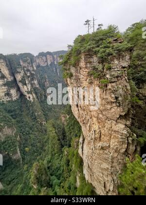 Paysages spectaculaires à la région pittoresque de Wulingyuan dans la forêt nationale de Zhangjiajie à Hunan, en Chine. Banque D'Images