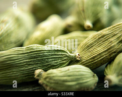 Dosettes vert vif en cardamome. Graines utilisées dans la cuisine indienne ou asiatique. Épices et à récurer. Glace cardamome Banque D'Images