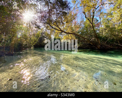 Matin Sur Weeki Wachee Springs, Floride Banque D'Images