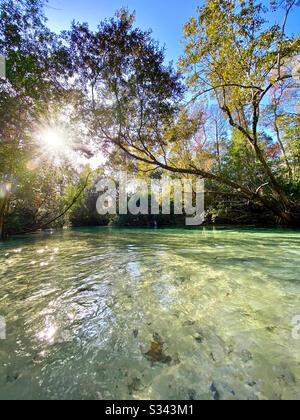 Matin Sur Weeki Wachee Springs, Floride Banque D'Images