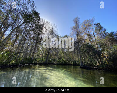 Matin Sur Weeki Wachee Springs, Floride Banque D'Images