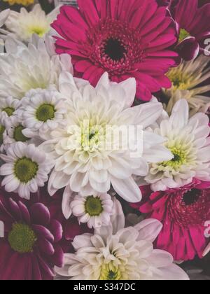 Un bouquet de fleurs blanches et roses. Banque D'Images